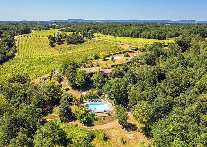 Les Hauts De Jeanvert - Le Chene - Piscine - Gaillac